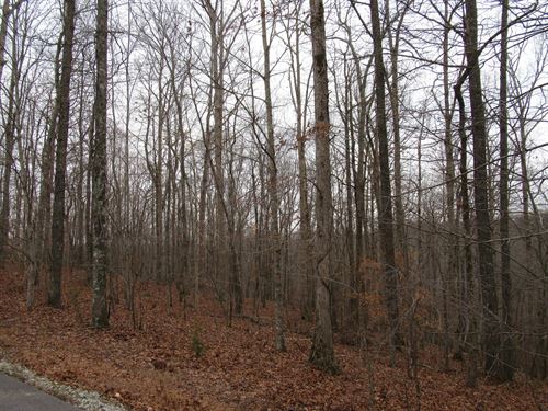 Riverwatch Subdivision : Sparta : DeKalb County : Tennessee