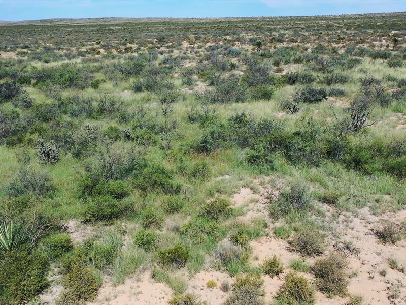 Hunt Your 20 Acres in TX : Sierra Blanca : Hudspeth County : Texas