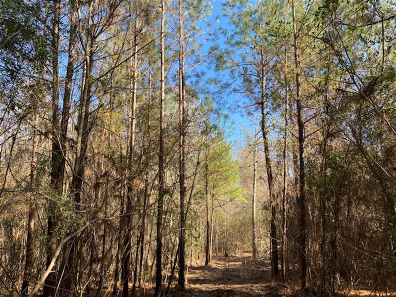 9 Acres-Greenwood Ln Se : Brookhaven : Lincoln County : Mississippi