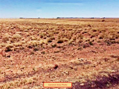 1.26 Acres in Navajo County, AZ : Surrey Rd : Navajo County : Arizona
