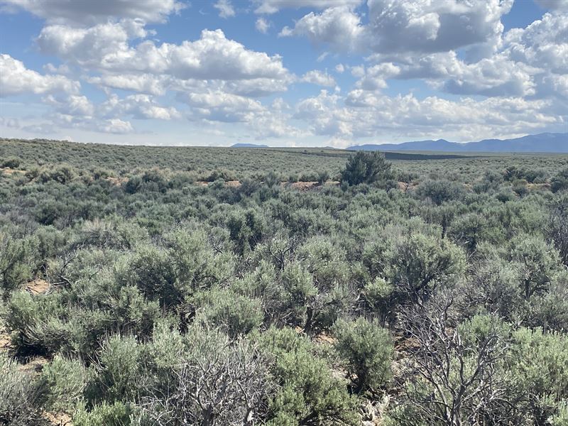 Breathtaking Corner Lot : San Luis : Costilla County : Colorado