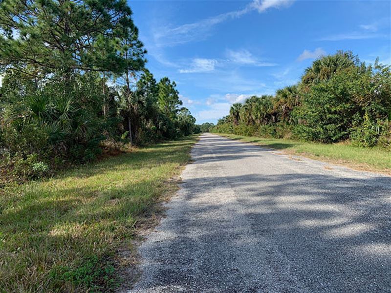 Residential Lot, Road Access : Jacksonville : Marion County : Florida