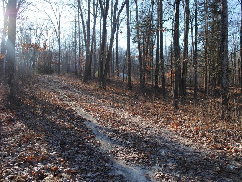 Decatur County Land for Sale, 15 : Greensburg : Decatur County : Indiana