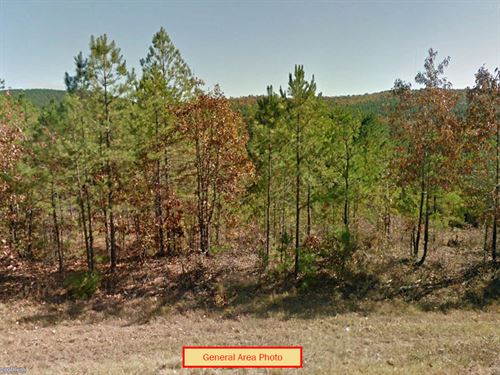 .28 Acre in Saline County, AR : Hot Springs Village : Saline County : Arkansas