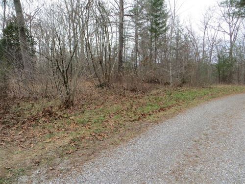 Wooded Lot on Mountain : Spring City : Bledsoe County : Tennessee