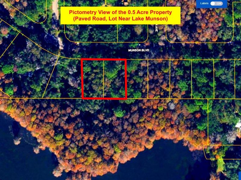 Outdoor and Near Lake Munson : Tallahassee : Leon County : Florida