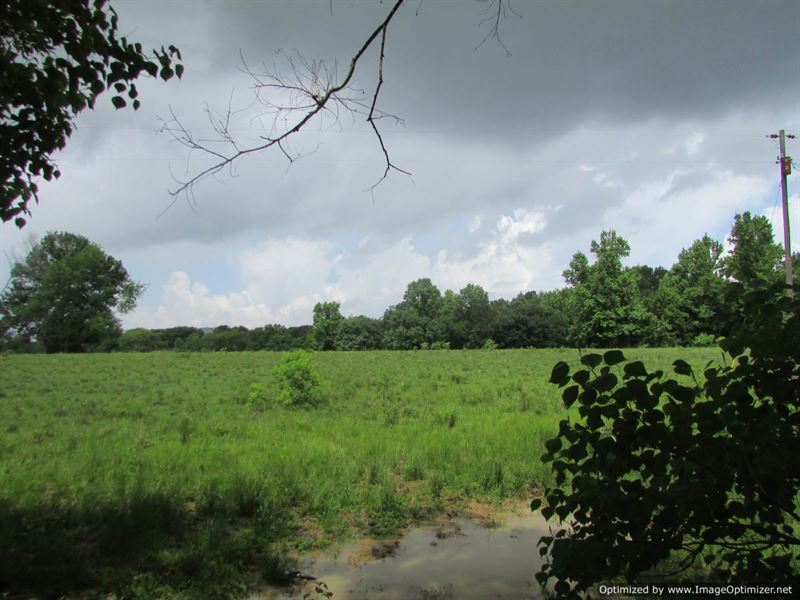 19 Ac Pasture Land, Madison County : Madison : Madison County : Mississippi