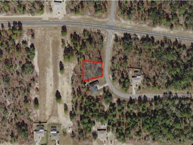Citrus Springs Lot is Ready for You : Citrus Springs : Citrus County : Florida