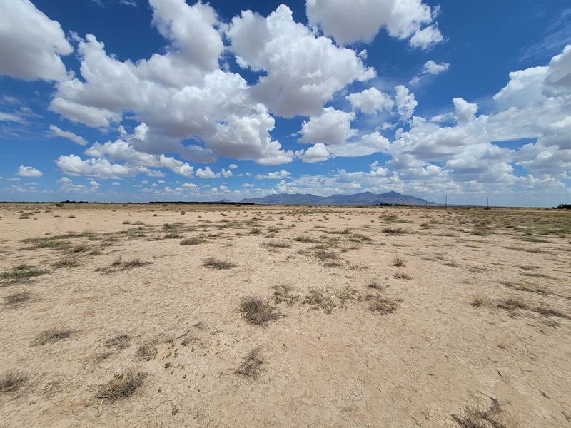 An Acre of Privacy Only $99 Down : Deming : Luna County : New Mexico
