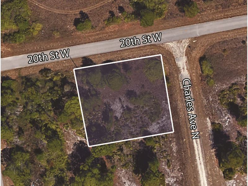 .33 Acre, Perfect Investment : Lehigh Acres : Lee County : Florida