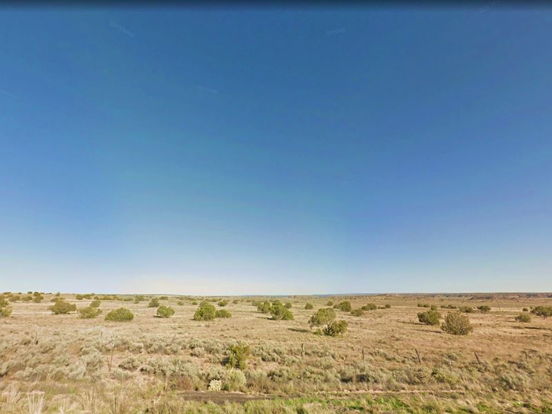 1 Acre in Chambers, $200 a Month : Chambers : Apache County : Arizona