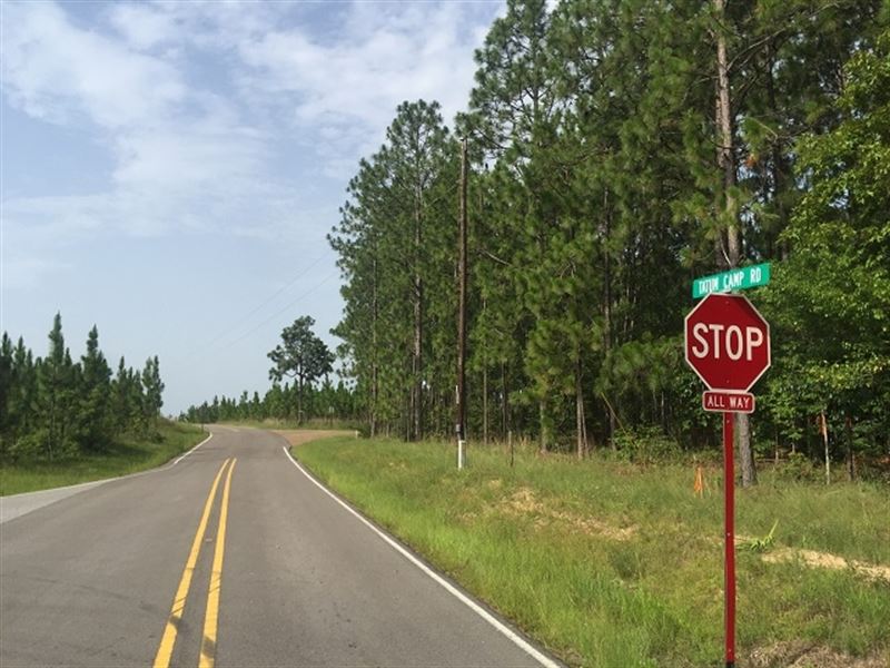 R. D. Hartfield Road, Parcel 10-C : Purvis : Lamar County : Mississippi