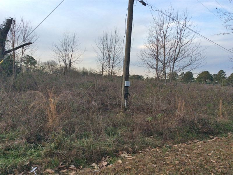 Hwy 29 Johnson Tract : Luverne : Crenshaw County : Alabama