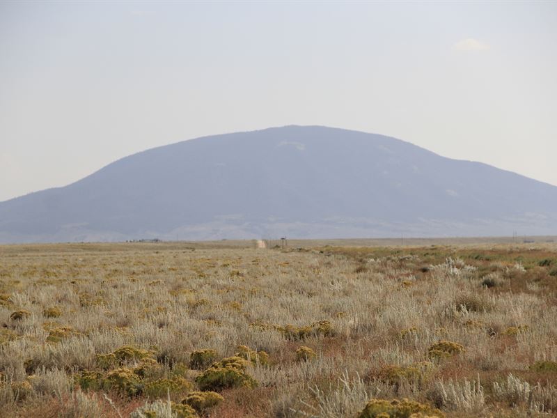 5.33 Ac in Costilla County $49 Down : Mesita : Costilla County : Colorado
