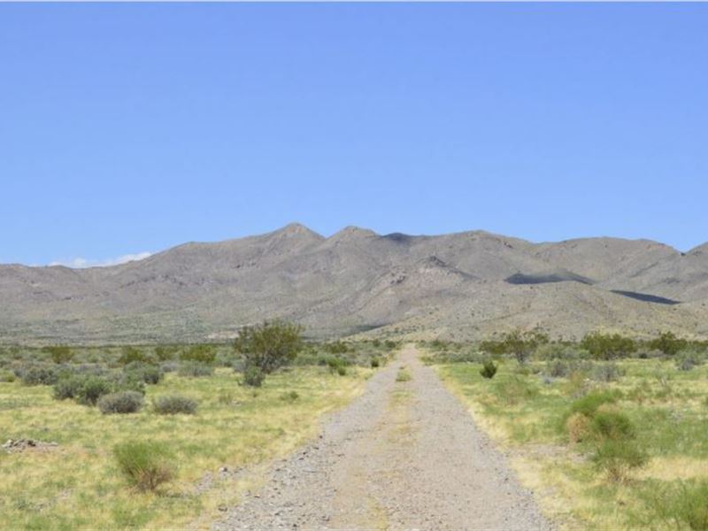 Beautiful Land & Views for Camping : Phoenix : Mohave County : Arizona