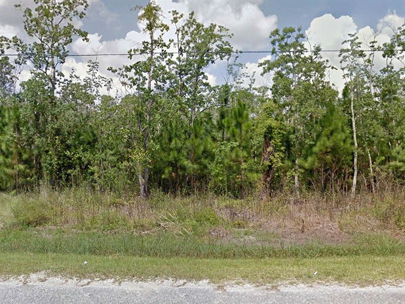 .19 Acre in Hancock County, MS : Shoreline Park : Hancock County : Mississippi