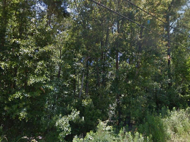 .26 Acre in Jackson County, MS : Jackson : Jackson County : Mississippi