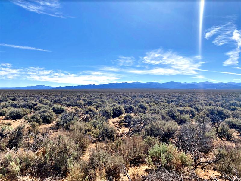 Remarkable 5 Acres Only $160 / MO : San Acacio : Costilla County : Colorado