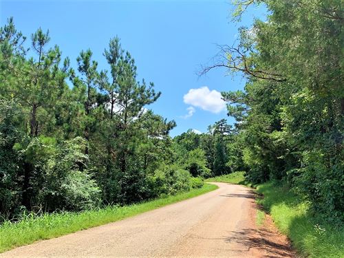 Unrestricted Wooded Lot, Electric : Jacksonville : Cherokee County : Texas