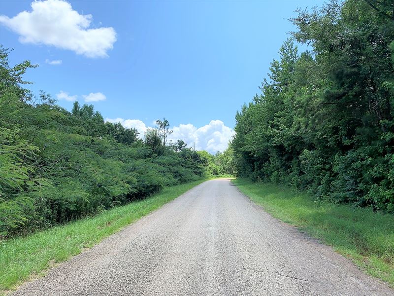 Unrestricted Wooded Lot, Electric : Jacksonville : Cherokee County : Texas
