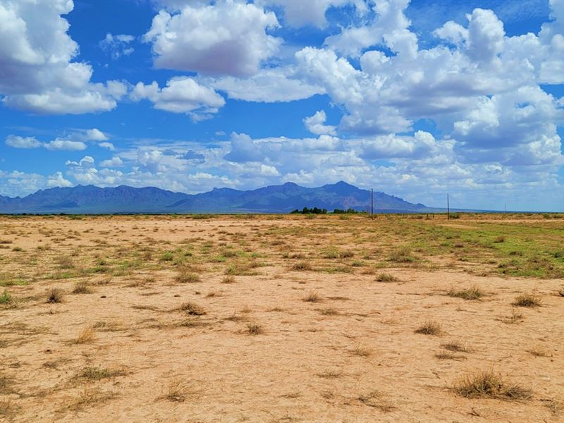 1.5 Ac to Explore Nm, Only $125/Mo : Deming : Luna County : New Mexico
