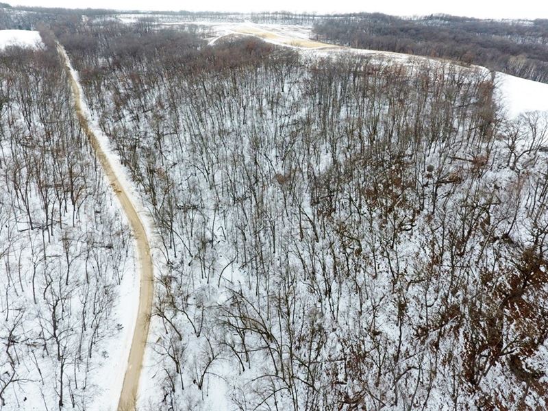 Affordable Hunting Parcel : Woodman : Grant County : Wisconsin