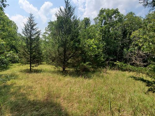 Missouri Land for Sale, 2.91 Acres : Benton : Missouri