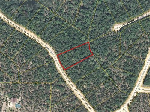 Compass Lakes 1+ Acre Lot : Alford : Jackson County : Florida
