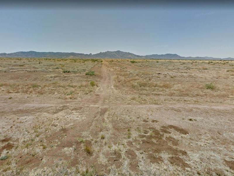 .82 Acre Lot for Sale in Sunsites : Sunsites : Cochise County : Arizona