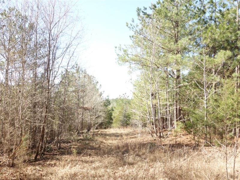 Ideal for Recreation and a Home : Winnsboro : Fairfield County : South Carolina