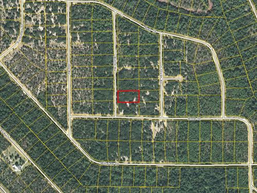Compass Acre Lot Awaits Your Vision : Marianna : Jackson County : Florida