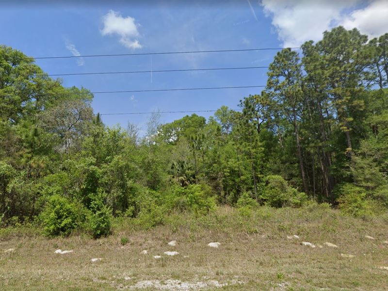 .40 Acre Lot for Sale in Dunnellon : Dunnellon : Citrus County : Florida