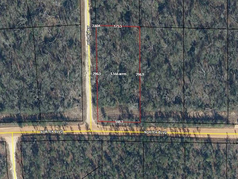 Compass Lake, Over an Acre Awaits : Alford : Jackson County : Florida