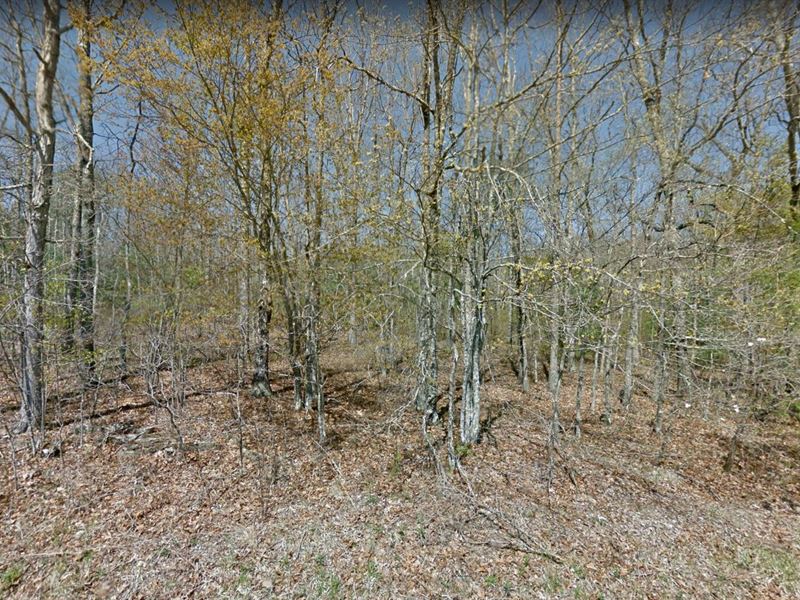 .26 Acre Lot for Sale in Tennessee : Crossville : Cumberland County : Tennessee