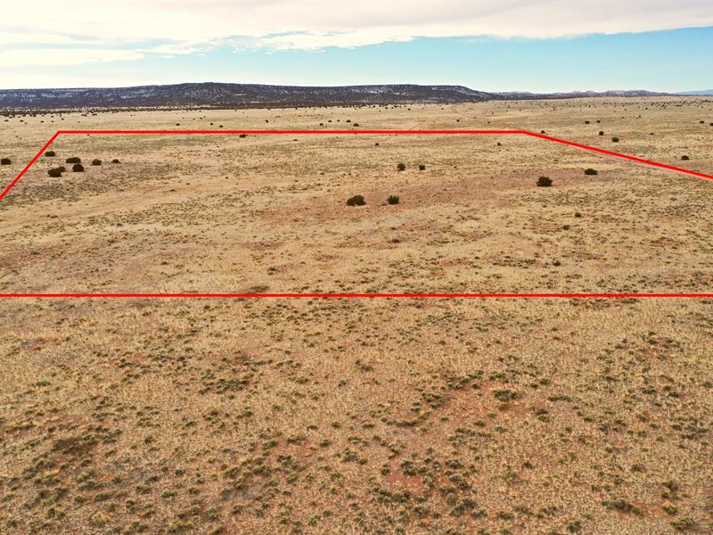 5 Ac Apache County, Az, $199 Down : Saint Johns : Apache County : Arizona