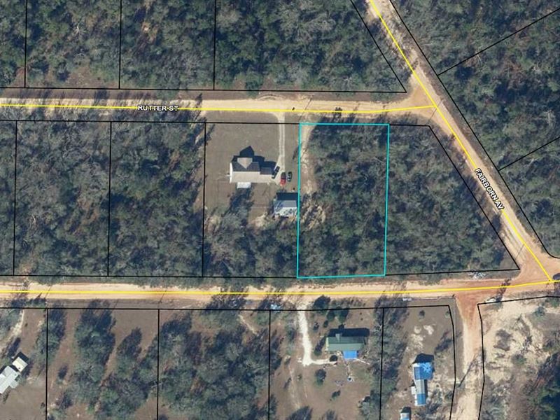 Homesite with Two Road Access : Alford : Jackson County : Florida