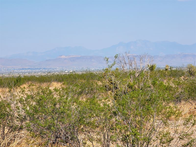 2.35 Acre AZ Off-Grid Masterpiece : Golden Valley : Mohave County : Arizona