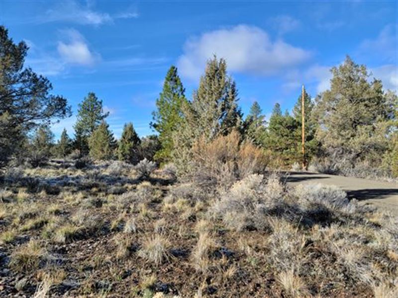 Residential Land with Power & Views : Bly : Klamath County : Oregon