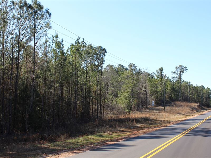 Little Texas 8 Acres : Little Texas : Macon County : Alabama