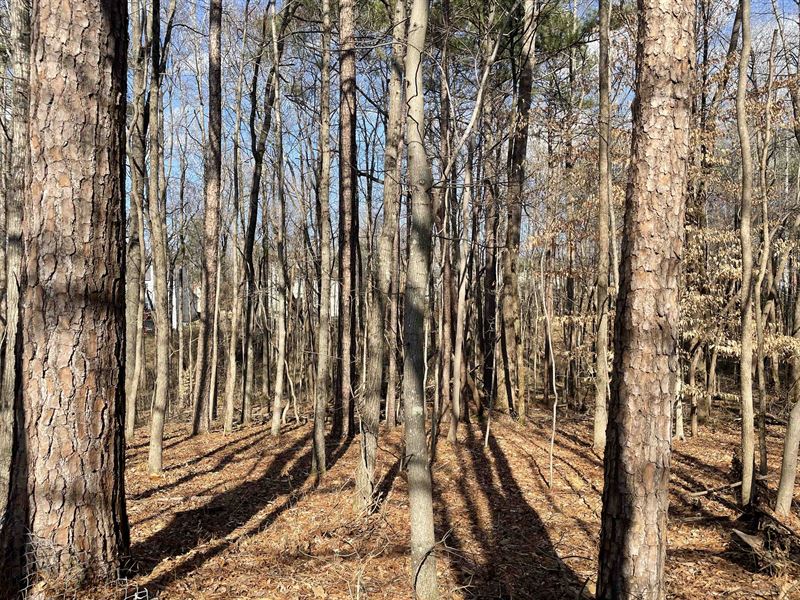 3.778+/- Ac Lot in Acworth, Georgia : Acworth : Cobb County : Georgia
