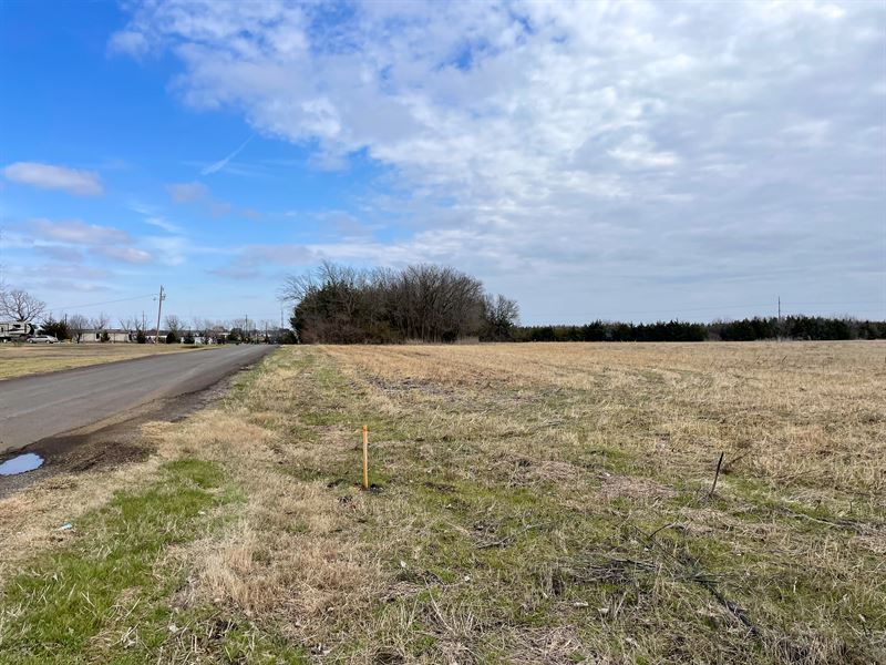 1.2 Acre Lot, FM 137, Lot 1 : Paris : Lamar County : Texas