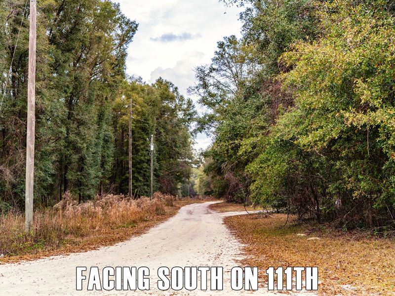 $9900 Down, Home or Recreational : Live Oak : Suwannee County : Florida