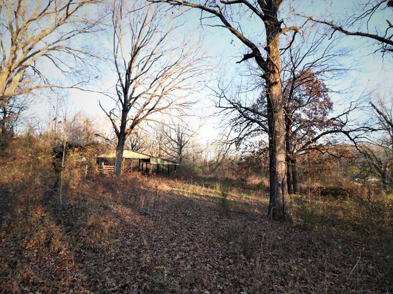 17.77 Acres in Searcy, AR : Searcy : White County : Arkansas