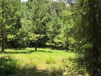 Hill Creek West Tract : Rockledge : Laurens County : Georgia