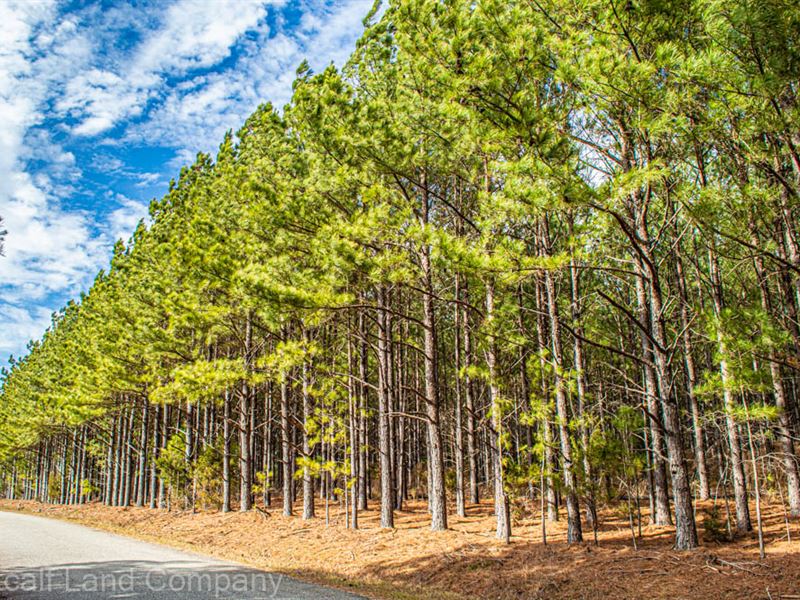 18 Wooded Acres Homesite : Roebuck : Spartanburg County : South Carolina