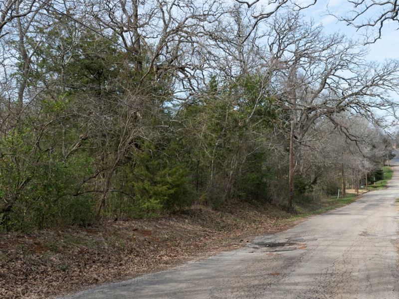 3.19 Acres in Palestine, TX : Palestine : Anderson County : Texas