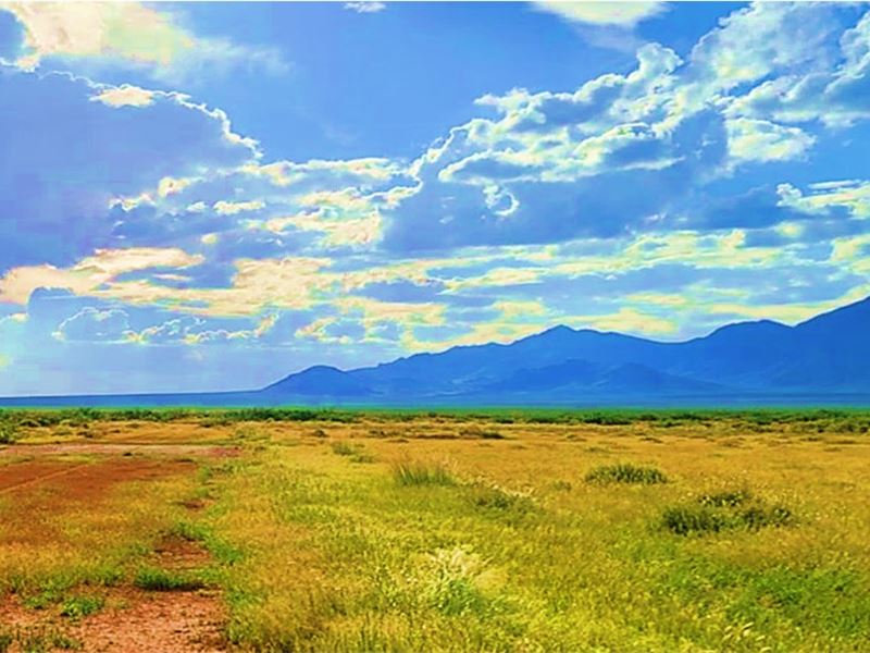2.51 Acres to Invest Only $149 : Deming : Luna County : New Mexico