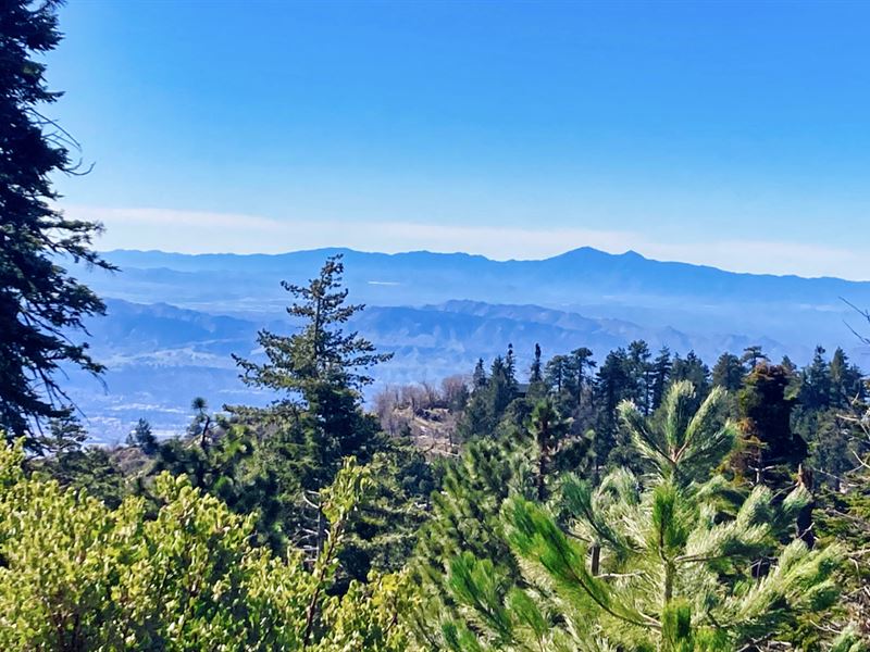Mountain Views Near National Forest : Running Springs : San Bernardino County : California
