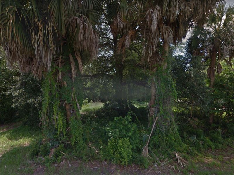 .40 Acre Lot for Sale in Perry : Perry : Taylor County : Florida