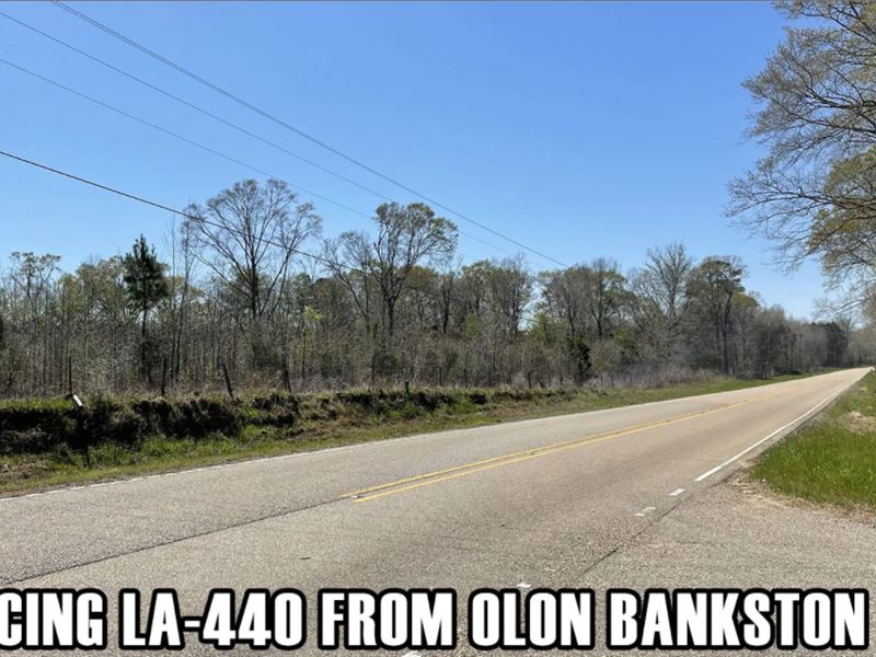 Parcel Has Paved Frontage On La-440 : Kentwood : Tangipahoa Parish : Louisiana